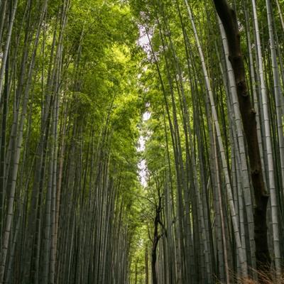 宝宝来找茬小游戏下载